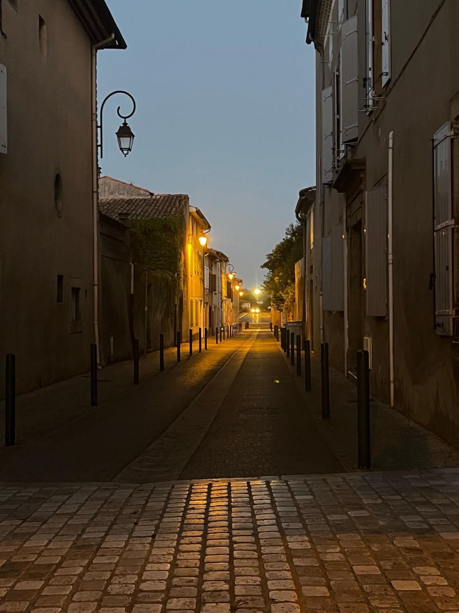 미르포아 Sci Les Remparts De Mirepoix B&B 외부 사진